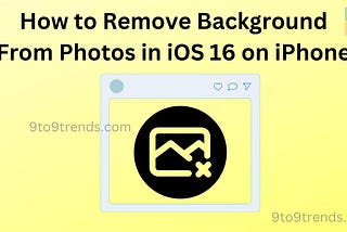 How to Remove Background From Photos in iOS 16 on iPhone