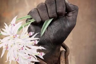 Title: "Journey from Chains to Freedom: Exploring the Essence of Liberation"

In a world steeped in…