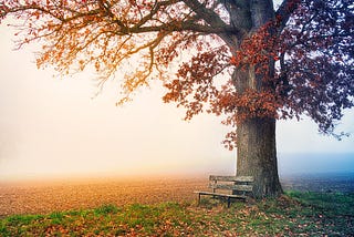 Seasons in Life