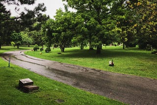 The earth submerged in summer rain