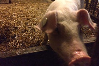 Have You Ever Use The Term Goblin Mode?