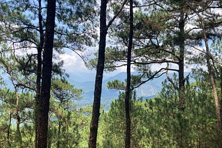 The Yearning to Experience Nature
