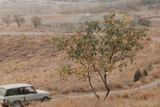 The Art of Silence in Film, A Kiarostami Study