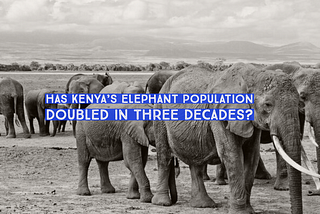 Did Kenya’s elephant numbers double between 1989 and 2018?