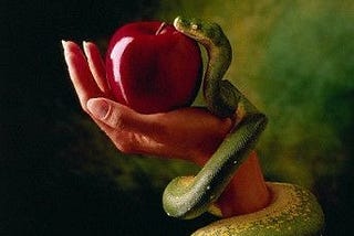 Late Nights and Forbidden Fruit