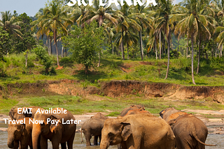 Explore the Ultimate Sri Lanka Tour Package from Chennai