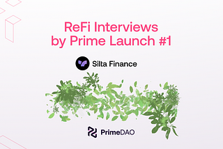 Exploring ReFi with Silta Finance: An Interview Series by Prime Launch
