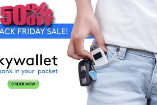 Skycoin Won’t Miss BlackFriday