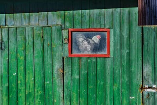 Stories make the world go round