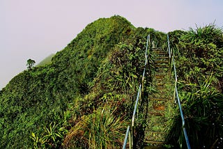 A ladder going up on a hill covered with grass