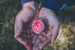 Science Informs Our Lives, Yet Meaning Lies Beyond It