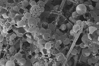 Fossil mimics may be more common in ancient rocks than actual fossils