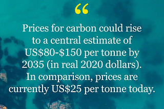 Carbon Credits as a High Impact & Return Investment?