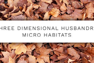Three Dimensional Keeping: Micro Habitat