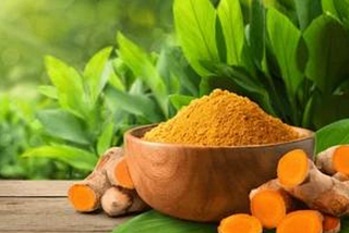 From Tradition to Treatment: The Enduring Legacy of Turmeric