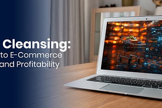 Why E-commerce Businesses Need Data Cleansing to Thrive