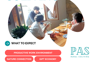 flyer of pop up coliving experience