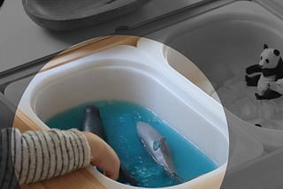 Quels «-centrisme » adopter avec les vivants ?