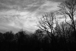 Half a Poet, Two Halves an Impostor, and a Borrower in the Ceiling