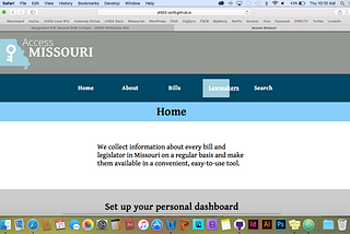 Access Missouri 2nd draft website critique