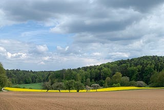 Sunday Bicycle Tour