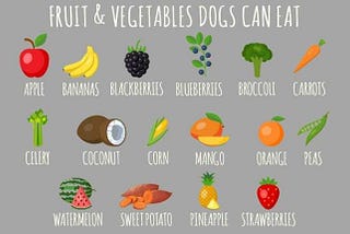 List of All Human Foods Dogs