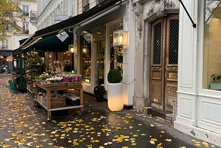 The Bittersweet Symphony of Parisian Weather: Beauty and Melancholy Intertwined