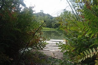 EL DÍA QUE EL RÍO DEJÓ DE SER RÍO
