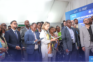 The Power of Everyone: Formulating a portfolio-centric UNDP Somalia country program