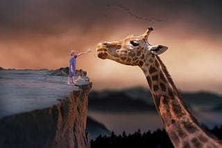 A little boy feeding a giraffe from the top of a cliff