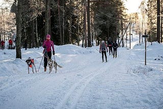A Winter in Oslo Why Norway’s Capital Shines in the Cold