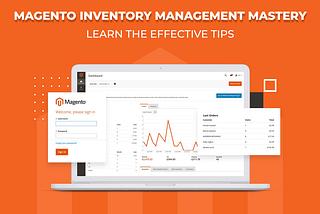 Magento Inventory Management Mastery: Learn the Effective Tips