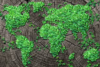 Corporate Sustainability: More Than a Buzzword