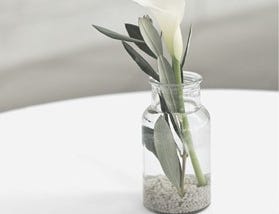 Calla lily in a mason jar