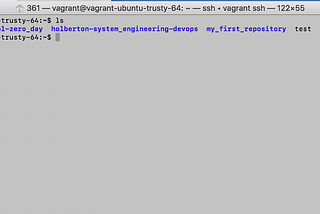 What happens when you type ls *.c in a linux terminal environment?