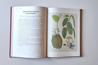 5 lezioni semplici sulle piante tropicali