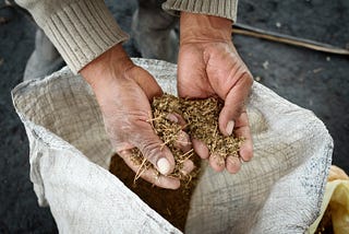 How to Save an Ancient Farm