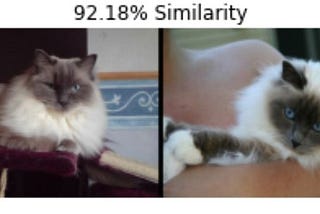 Image Similarity: Theory and Code