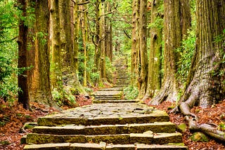 Warm green path in the middle of a forest with stone steps. The Kumano Kodo trail in Japan. Forest bathing for mindfulness.