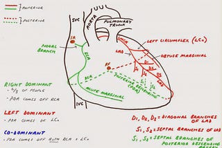 Pediatric ECG Interpretation