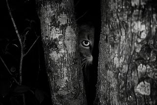 Whispers of Time: When Waiting Leads to Emptiness