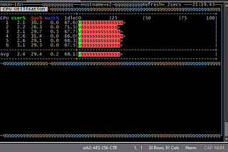 NMON + SecureCRT UTF8 characters not showing properly