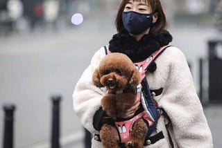 China’s Pet Economy: Millennials Choosing Pets Over Babies