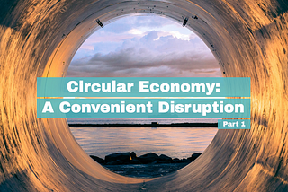 Circular Economy: A Convenient Disruption