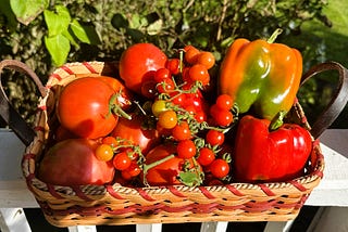 The Trusty Gardener-Tomatoes, Potatoes, Peppers, Blueberries, and More