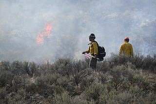 Improving our sagebrush habitat with prescribed fire