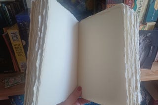 An open Book of Shadows showing blank parchment paper. Image by Gem Blackthorn