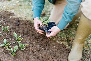 Ways To Make Off-Grid Living More Sustainable