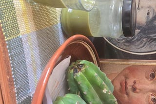 Liquid Mescaline cactus 🌵 Mixture