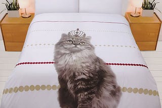 Google’s Christmas Gift